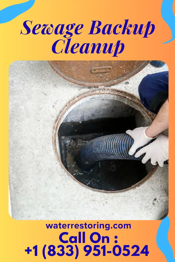 Sewage Backup Cleanup in River Sioux, IA